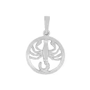 Anhänger Skorpion 925/- Silber rhodiniert